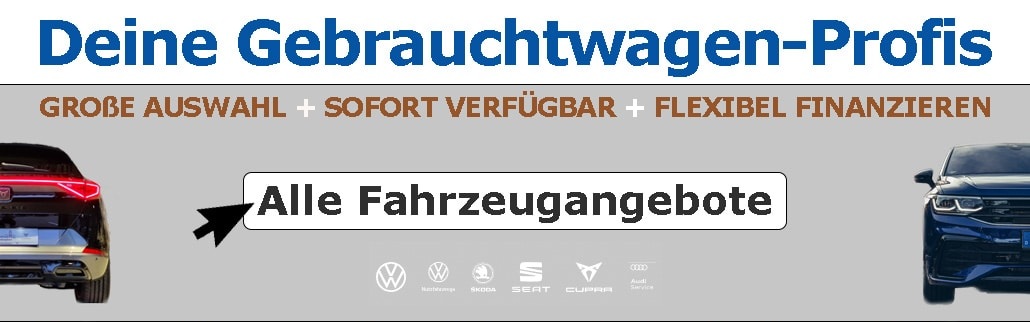 Gebrauchtwagen Profis